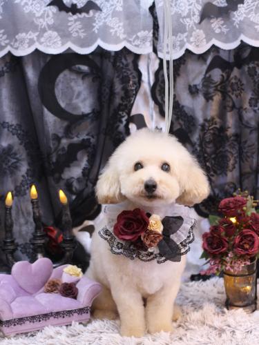 20231013こじろうくん